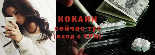 гидра Бородино