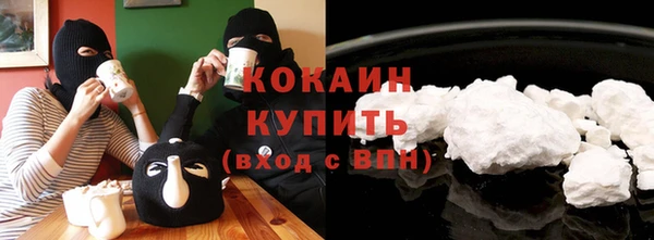 гидра Бородино