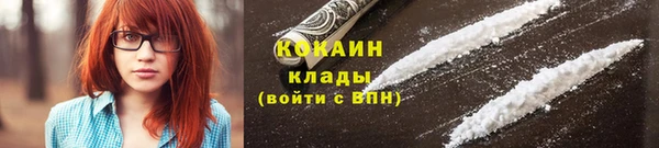 гидра Бородино
