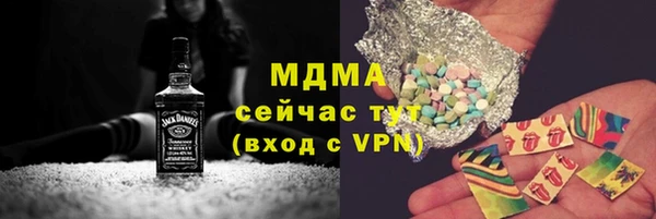 гидра Бородино