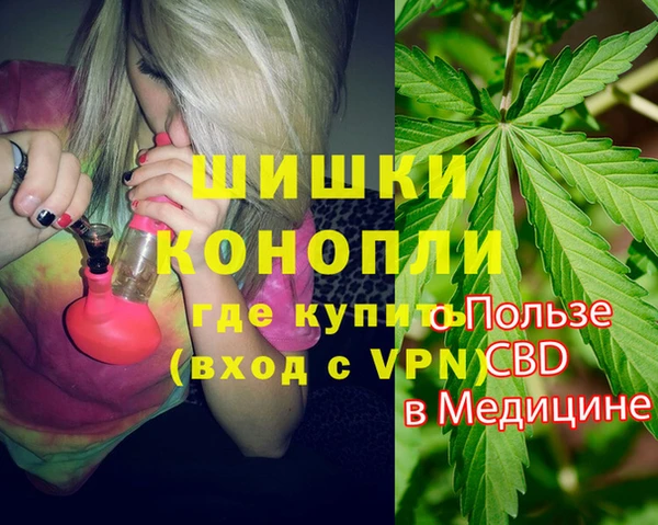 гидра Бородино