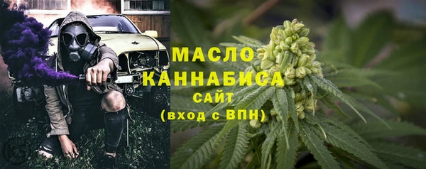гидра Бородино