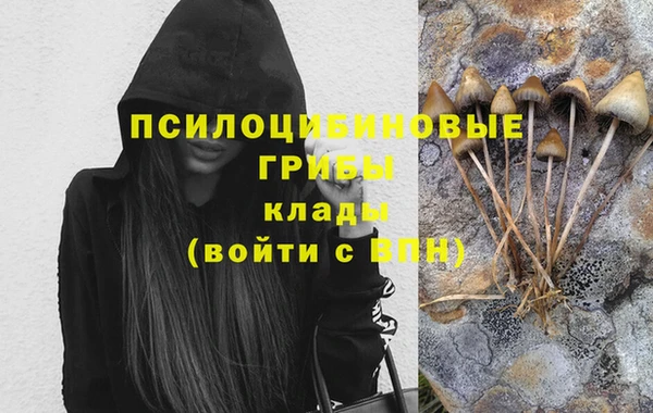 ГАЛЛЮЦИНОГЕННЫЕ ГРИБЫ Бугульма